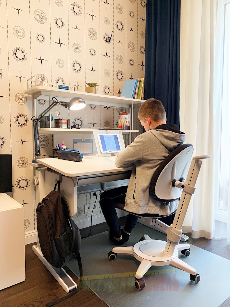 Растущая парта moll Champion c навесной панелью Flex Desk и эргономичным стулом moll Maximo