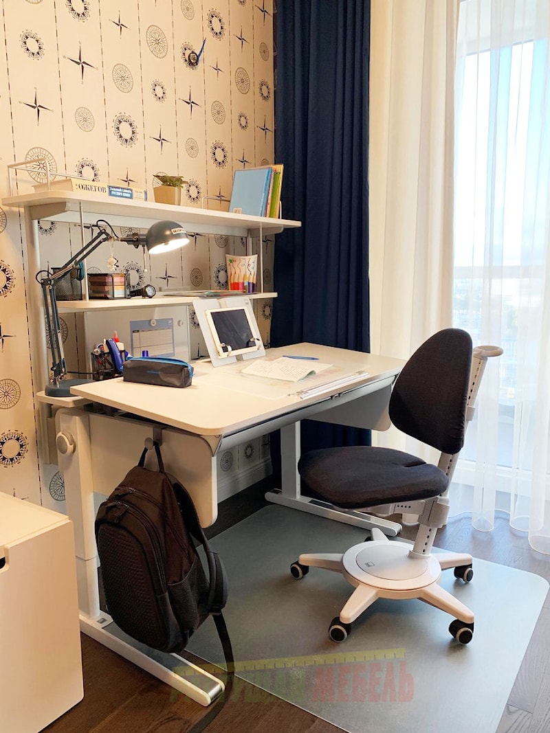 Растущая парта moll Champion c навесной панелью Flex Desk и эргономичным стулом moll Maximo