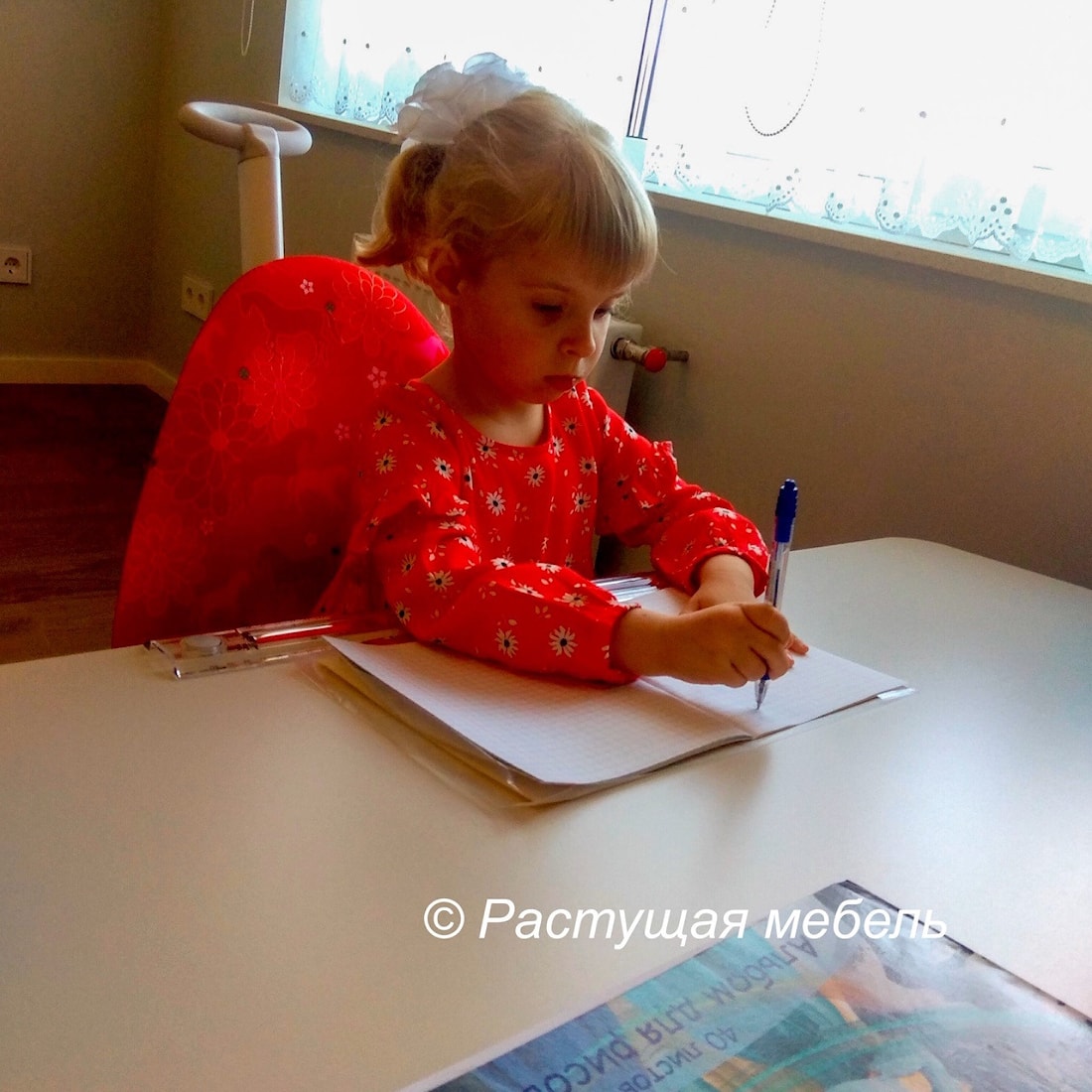 Растущие парта moll Champion и стул moll Maximo в интерьере