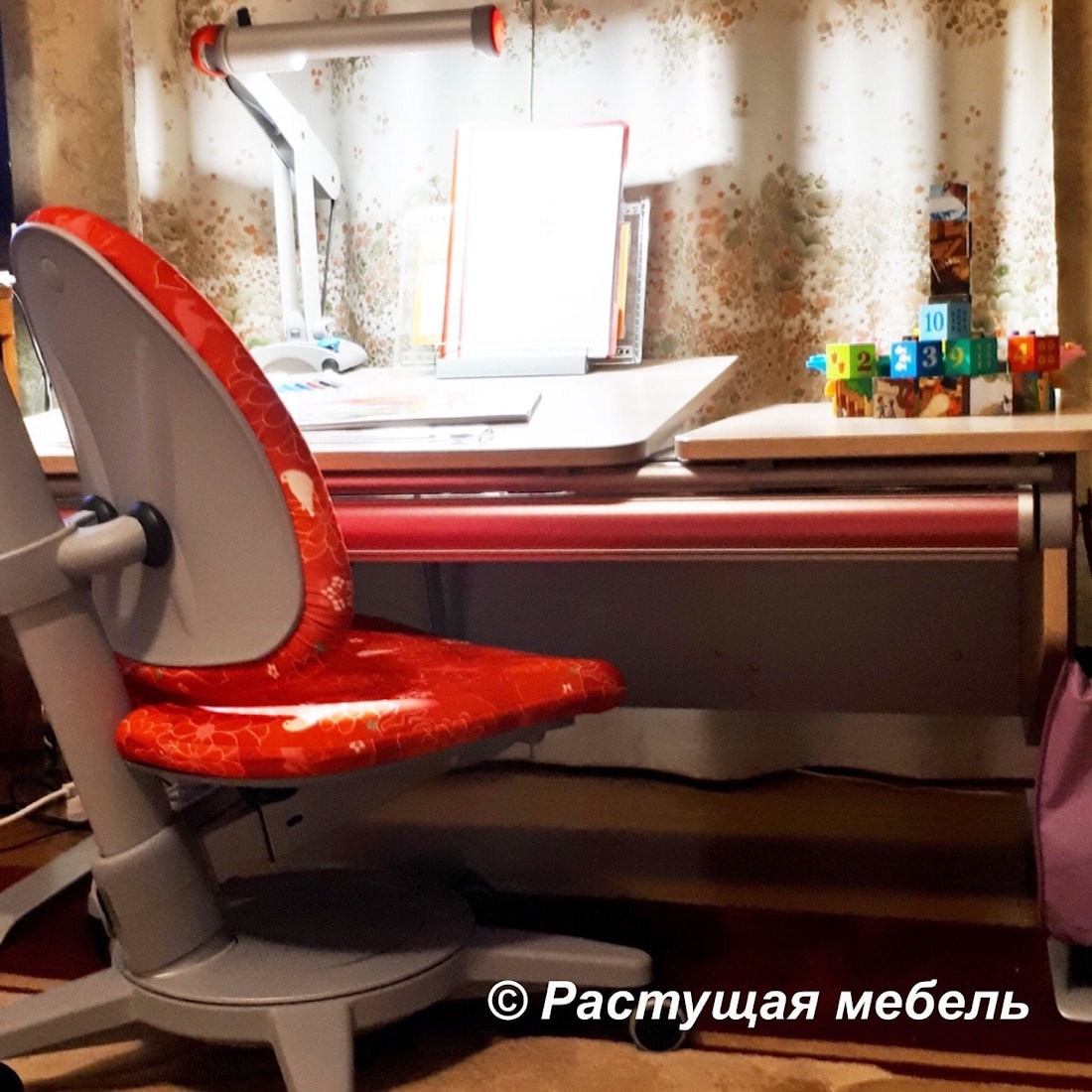 Растущая парта moll Winner Split, стул moll Maximo, лампа moll Mobilight