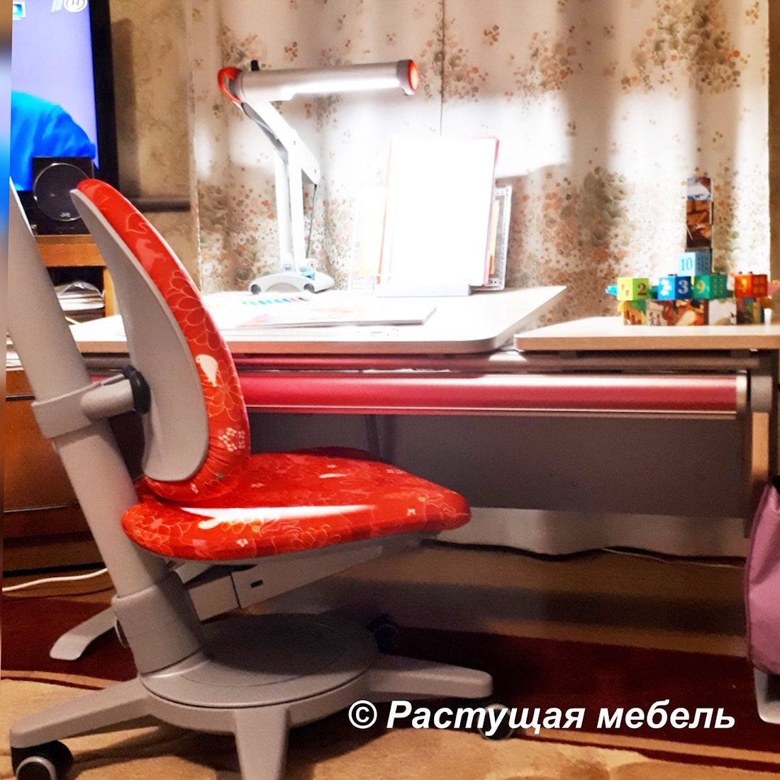 Растущая парта moll Winner Split, стул moll Maximo, лампа moll Mobilight