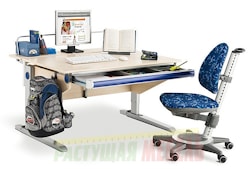 Навесная задняя панельmoll Winner Multi Deсk Compact