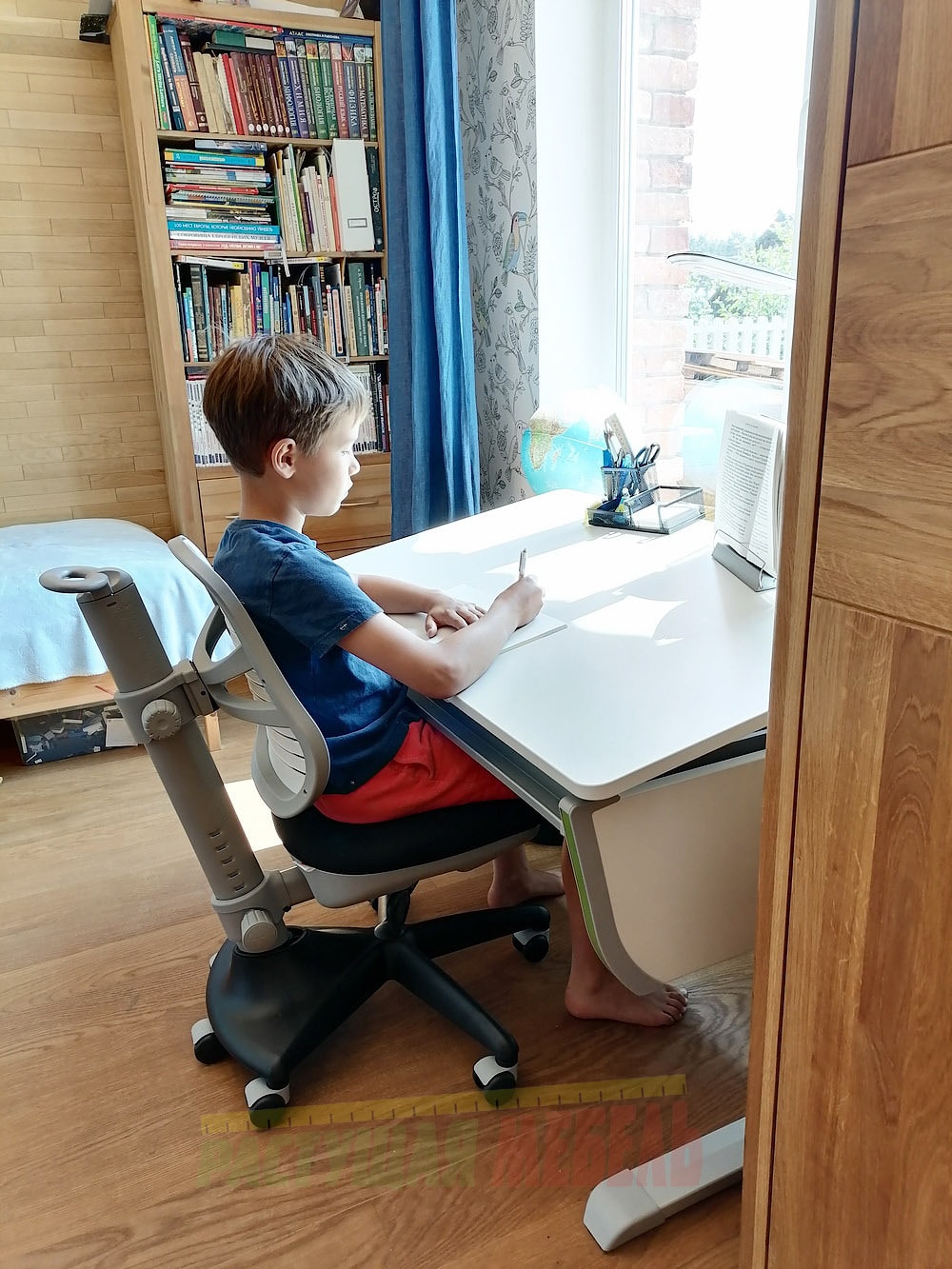 Растущая парта moll Joker