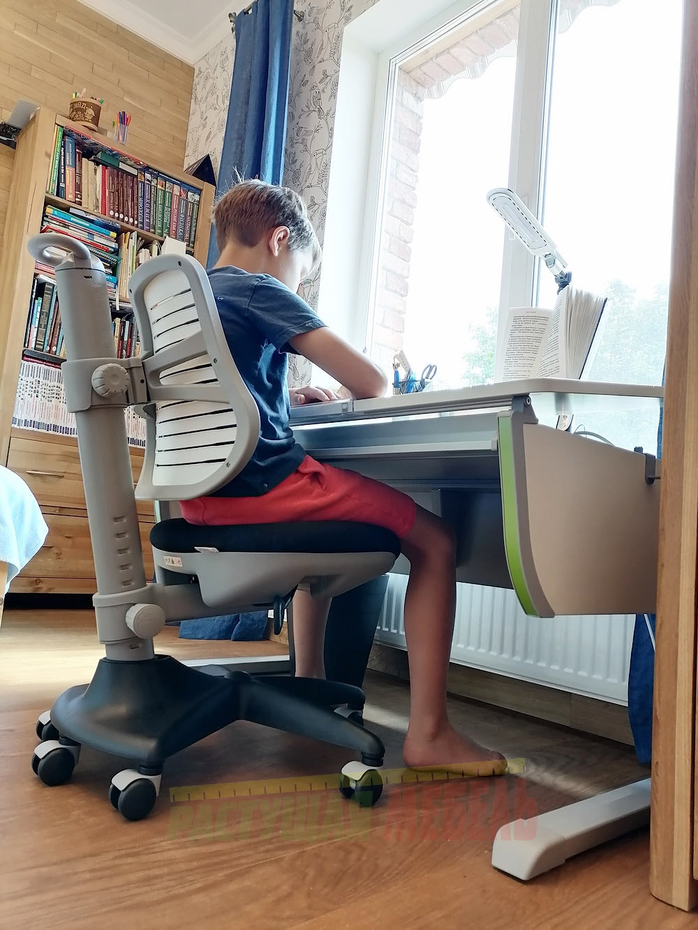 Растущая парта moll Joker