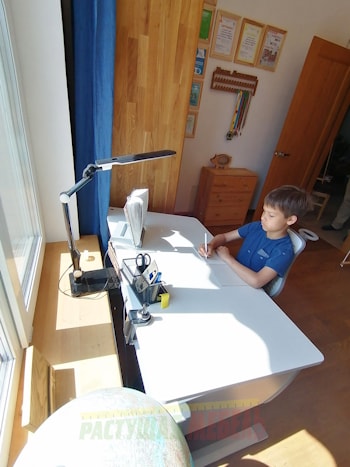 Растущая парта moll Joker