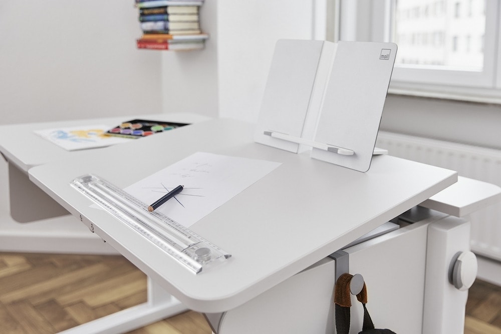 Линейка-ограничитель на магнитах с лупой для парт moll Winner и Сhampion