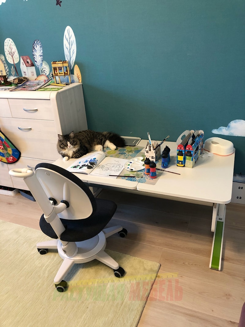 Растущие стол-парту moll Champion и стул moll Maximo для сына