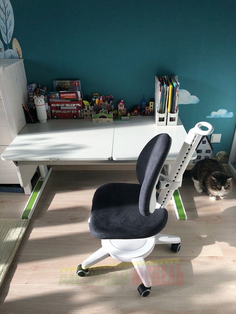 Растущие стол-парту moll Champion и стул moll Maximo для сына